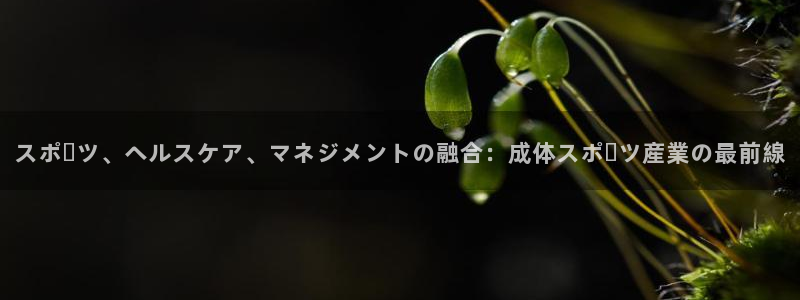 必一体育运动官网