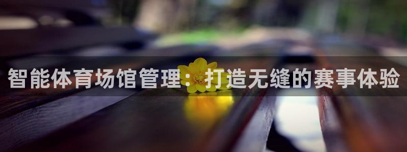 必一体育app下载装机吧