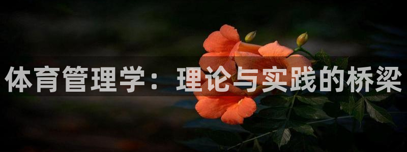 必一体育sportB