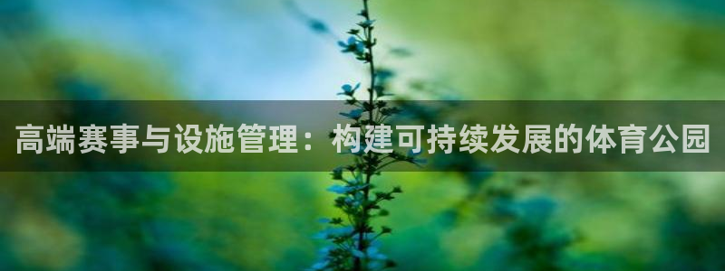 必一运动体：高端赛事