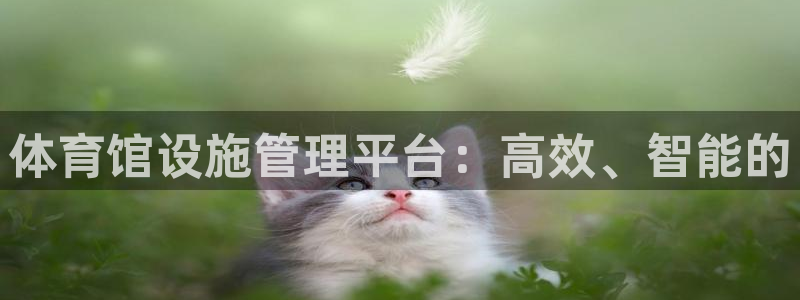 必一运动官网入口：体