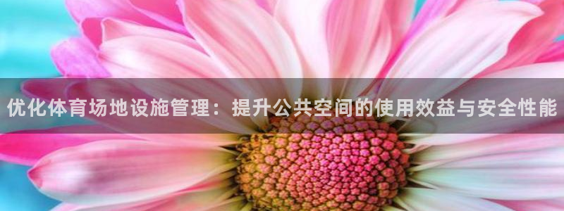 必一运动官网入口：优