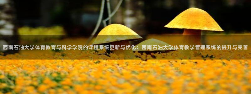 必一体育下载移动版：