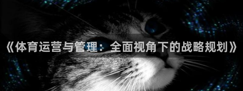 必一体育APP：《体