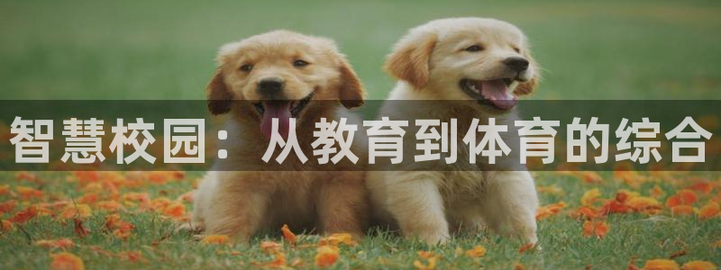 必一体育下载app下