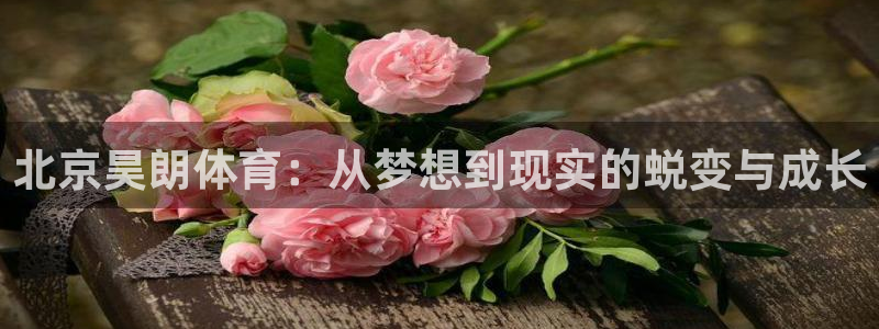 必一体育登录APP下