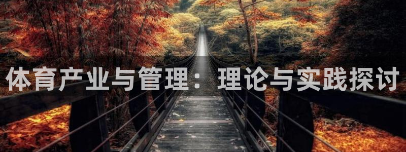 必一体育sportB