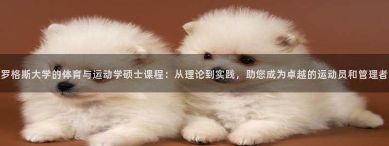 必一体育皮尔斯：罗格斯大学的体育与运动学硕士课程：从理论到实