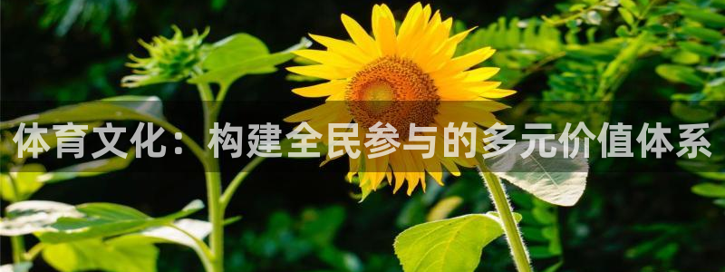 必一体育黑钱：体育文化：构建全民参与的多元价值体系