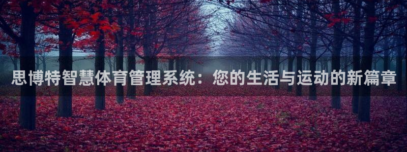必一运动官网平台：思