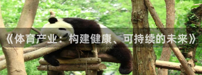 b体育官网下载入口a