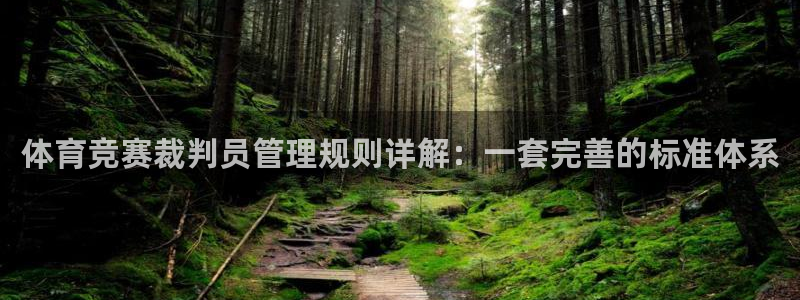 必一体育能提现大金额