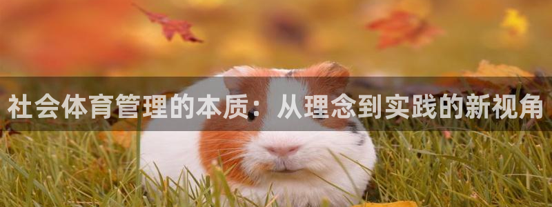 必一体育验证码：社会