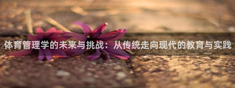 必一体育登录：体育管