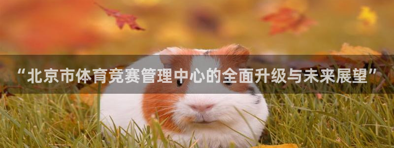 必一体育官网网址：“