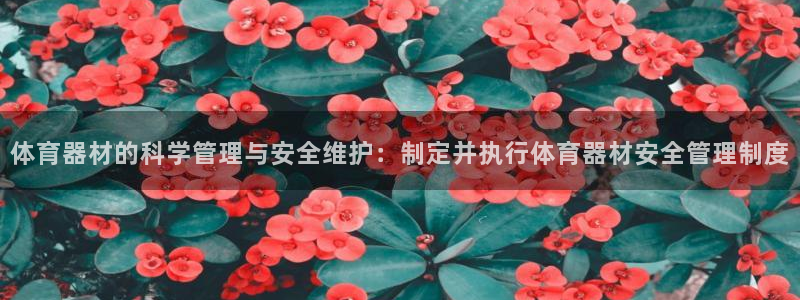 必一体育app官方下