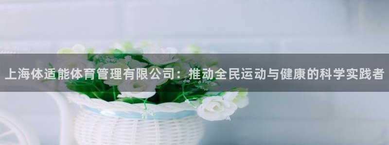 必一体育sport官