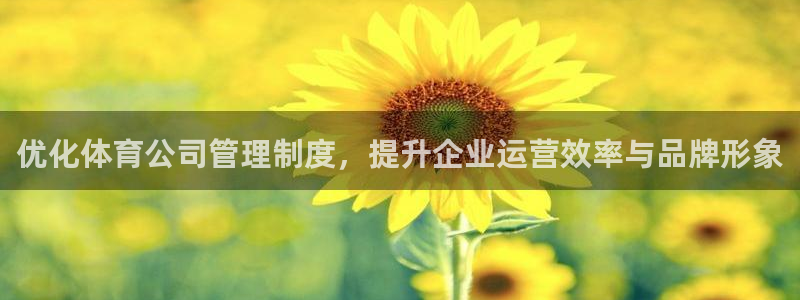 必一体育是啥：优化体