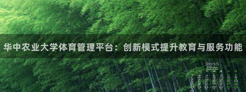 必一体育在线下载：华