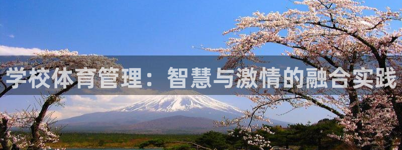 必一体育sport装