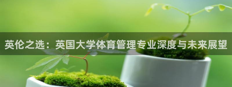 必一体育运动平台官网