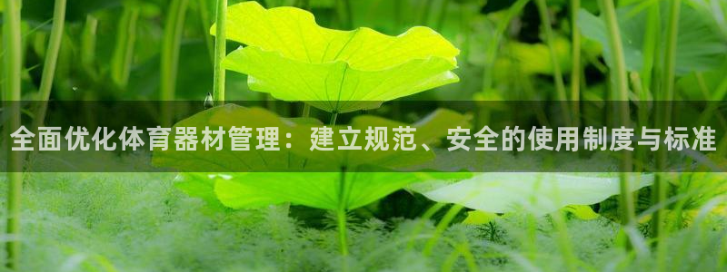 必一体育app官方下载：全面优化体育器材管理：建立规范、安全