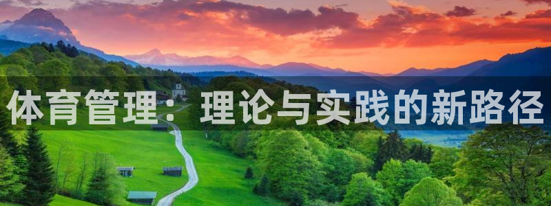 必一体育全站在线登录入口：体育管理：理论与实践的新路径