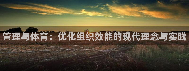 必一体育app下载装