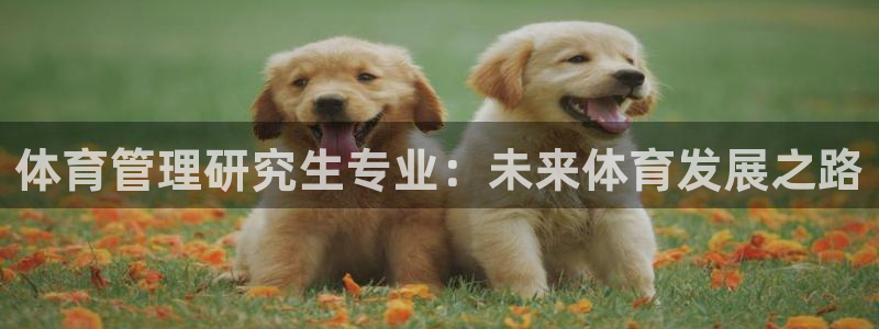 必一运动·(B-Sp