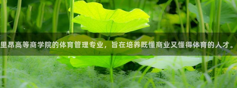 必一体育游戏玩法：里昂高等商学院的体育管理专业，旨在培养既懂