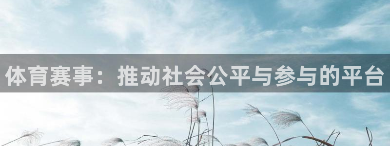 必一体育下载义：体育赛事：推动社会公平与参与的平台