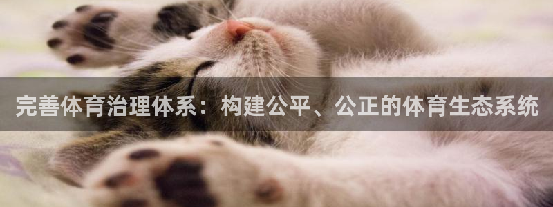 必一体育网页登陆：完