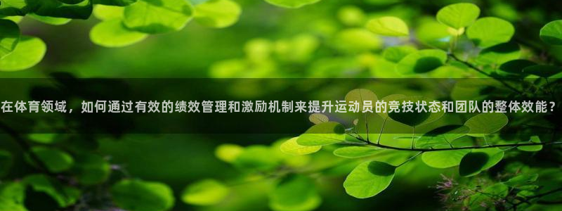 必一体育网页登陆：在