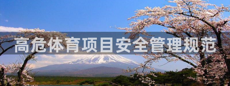 必一体育app下载装