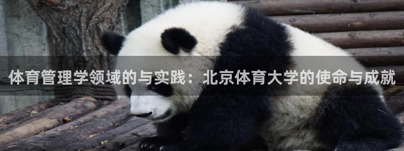 必一体育app官方：