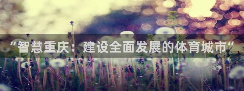 必一体育下载义：“智慧重庆：建设全面发展的体育城市”