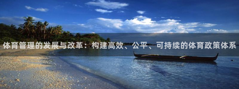 必一体育是哪里的台子：体育管理的发展与改革：构建高效、公平、