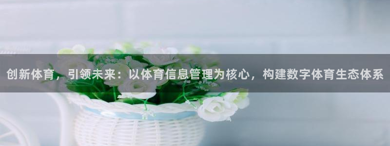必一体育官方入口：创新体育，引领未来：以体育信息管理为核心，