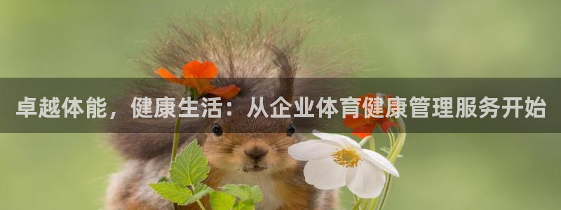 必一体育电子app：