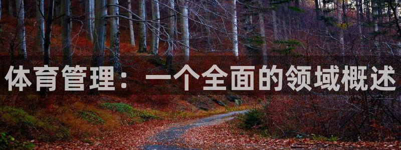 必一体育登陆：体育管