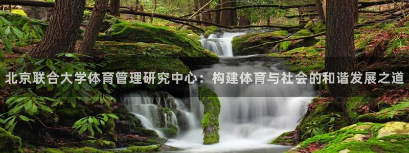 必一体育官方app下