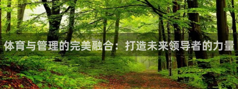 必一体育全站在线登录