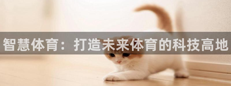 必一体育登录：智慧体
