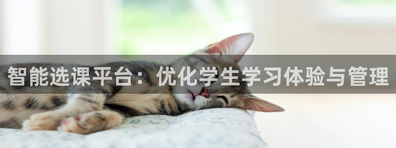 必一体育验证码：智能