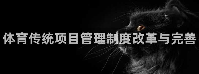 必一体育在线玩：体育