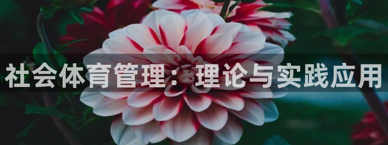 必一体育官方入口：社