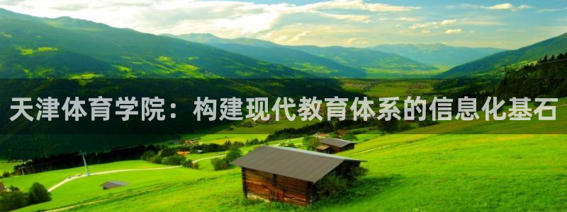 必一体育官网网址：天