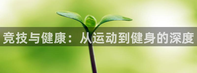 b体育必一运动网页版