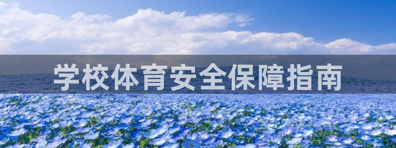 必一体育下载app