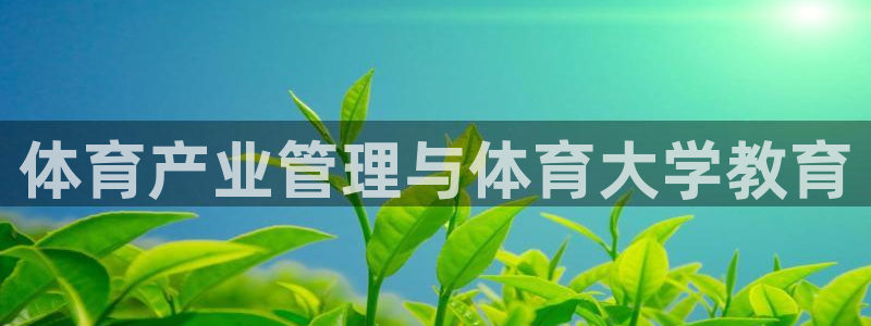 必一体育bsport下载